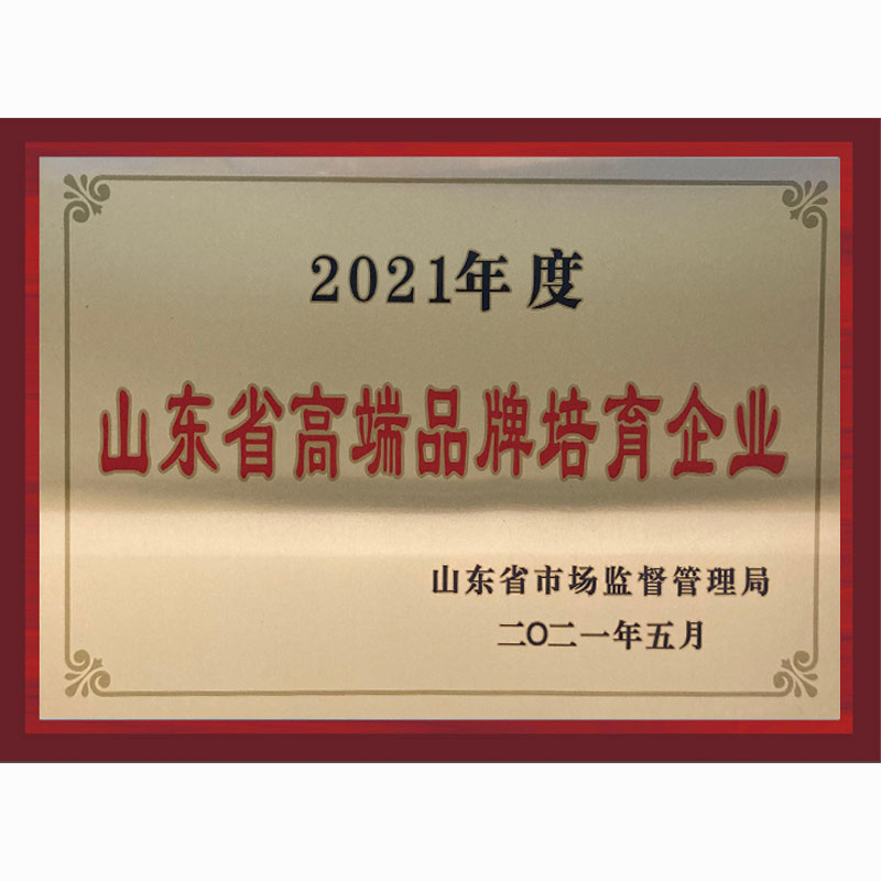 Shandong Province High-end Brand Cultivation Enterprise