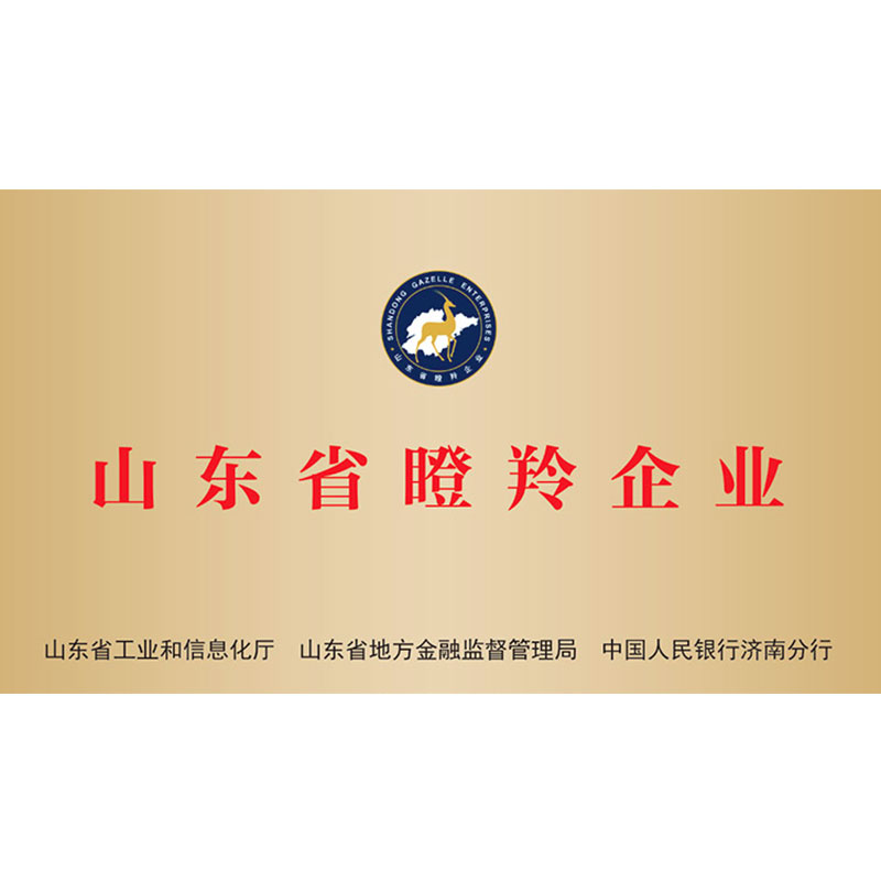 Shandong Province Gazelle Enterprise
